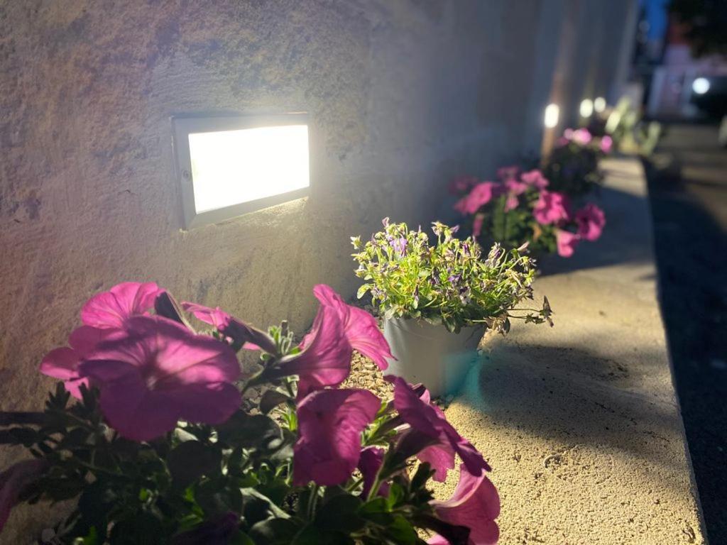 Viro House Bed & Breakfast Squinzano Bagian luar foto